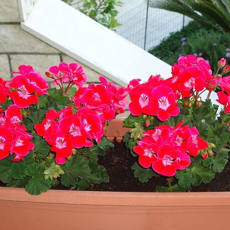 Peric Rooms Dubrownik Zewnętrze zdjęcie